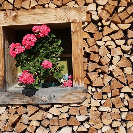 Appartamento Studio Schwarzenauer Alpbach Esterno foto