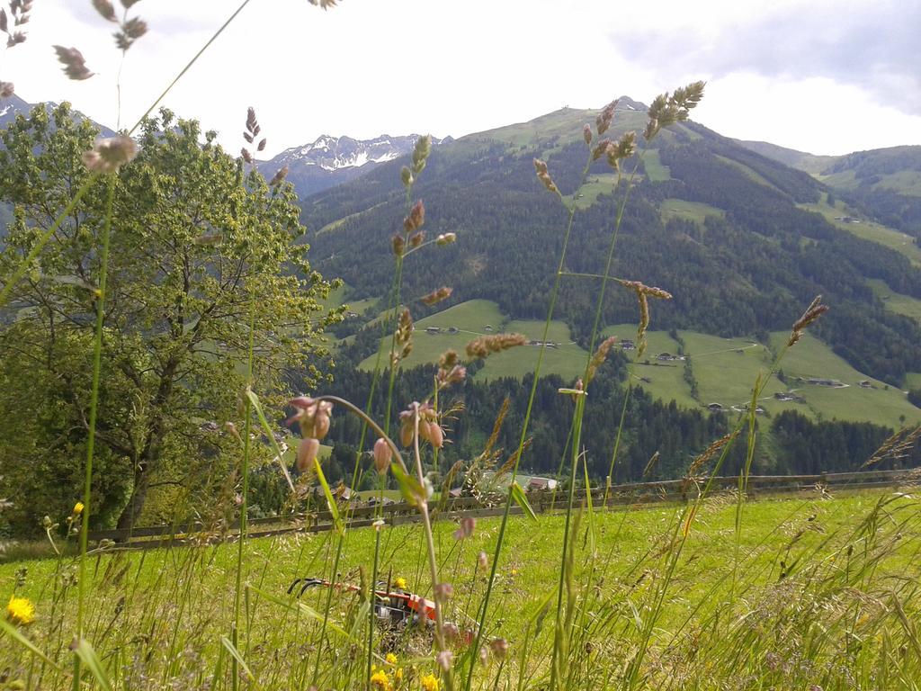 Appartamento Studio Schwarzenauer Alpbach Esterno foto