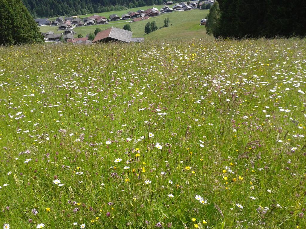 Appartamento Studio Schwarzenauer Alpbach Esterno foto