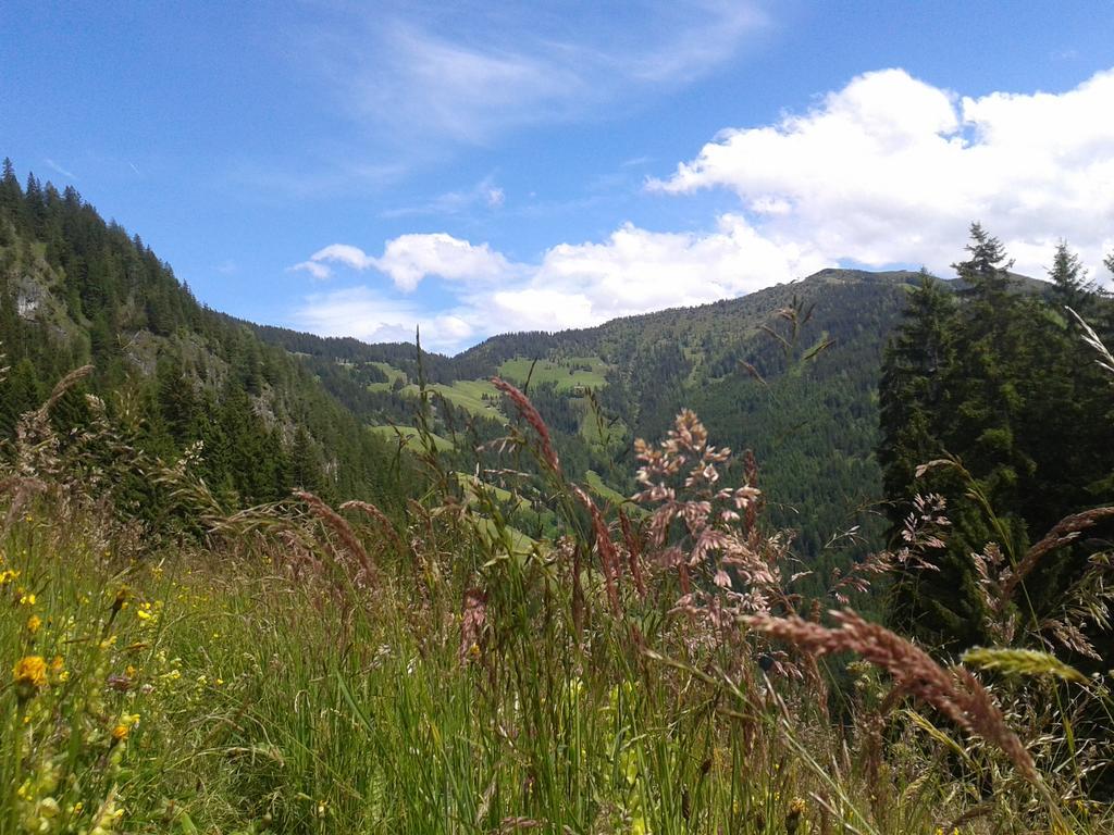 Appartamento Studio Schwarzenauer Alpbach Esterno foto