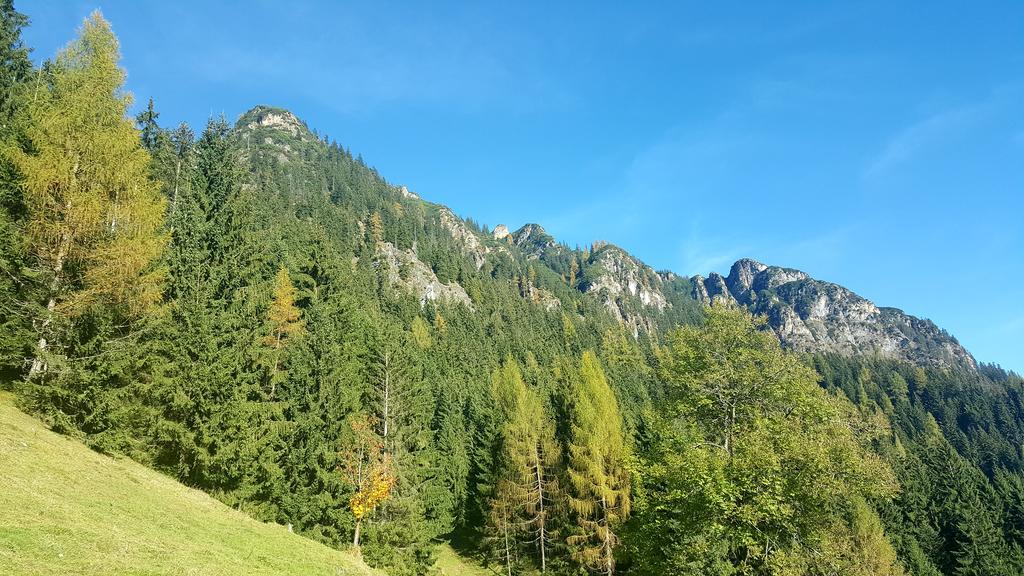 Appartamento Studio Schwarzenauer Alpbach Esterno foto