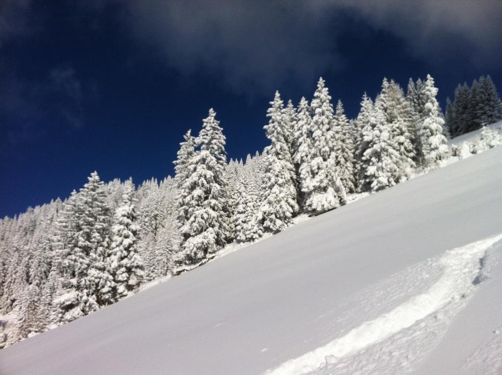 Appartamento Studio Schwarzenauer Alpbach Esterno foto