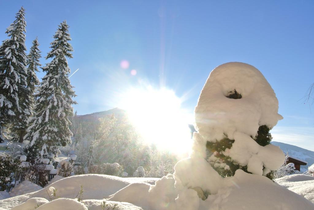 Appartamento Studio Schwarzenauer Alpbach Esterno foto