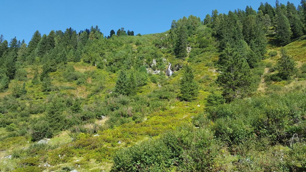 Appartamento Studio Schwarzenauer Alpbach Esterno foto
