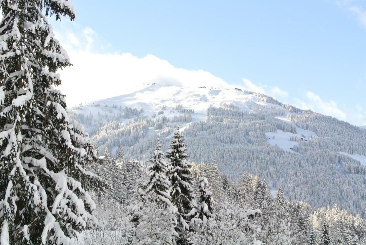 Appartamento Studio Schwarzenauer Alpbach Esterno foto
